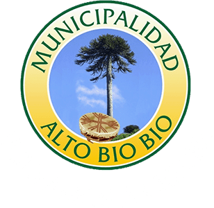 Municipalidad de Alto Biobío